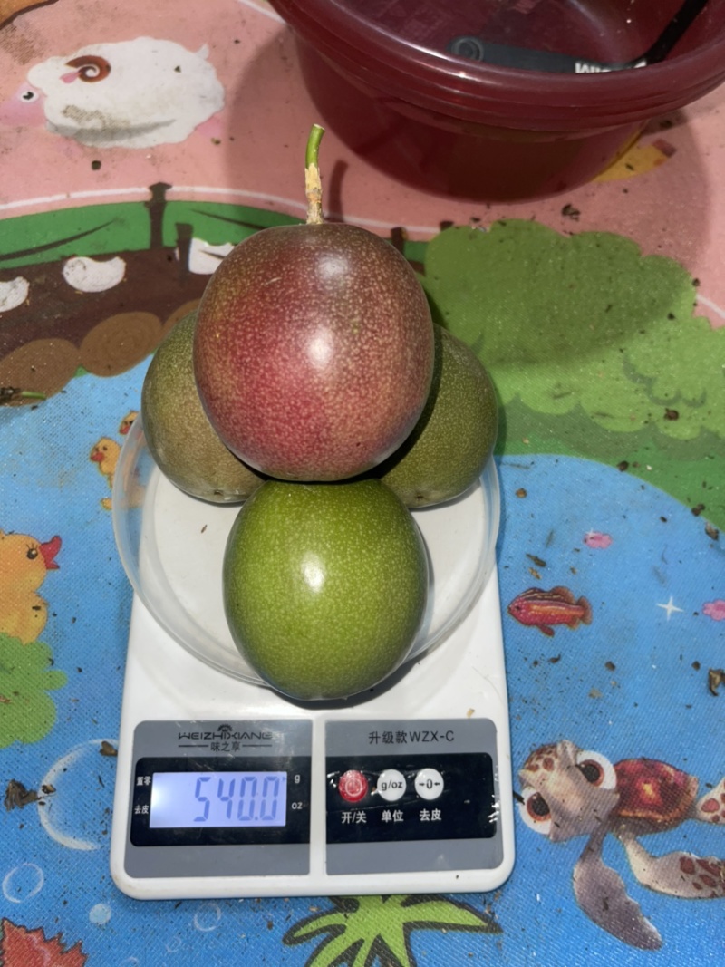 云南高山百香果