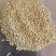 加纳利子批发白尖粟小型鸟类宠物饲料金丝雀籽