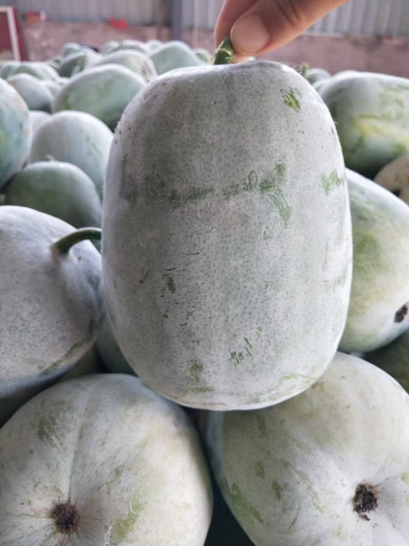 水果冬瓜