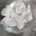 免浆巴沙鱼