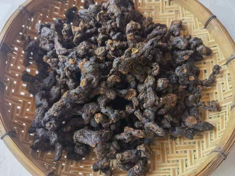 中药材黄精与熟地黄成分对比示意图