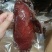 酱香肉麻辣味五香味50斤装地摊展会酱香肉