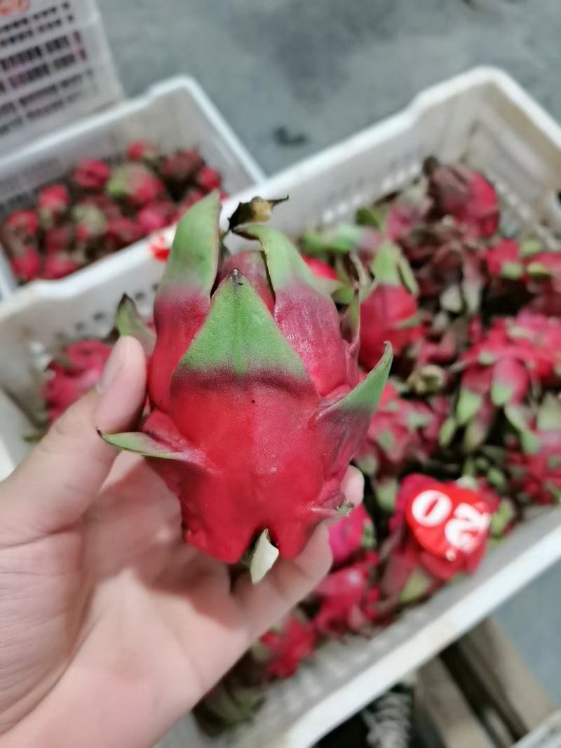 精品单规格30—40果，货源充足