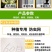 大棚防虫网纱网菜地大棚网养殖场猪场防蚊苍蝇果树防鸟加密加