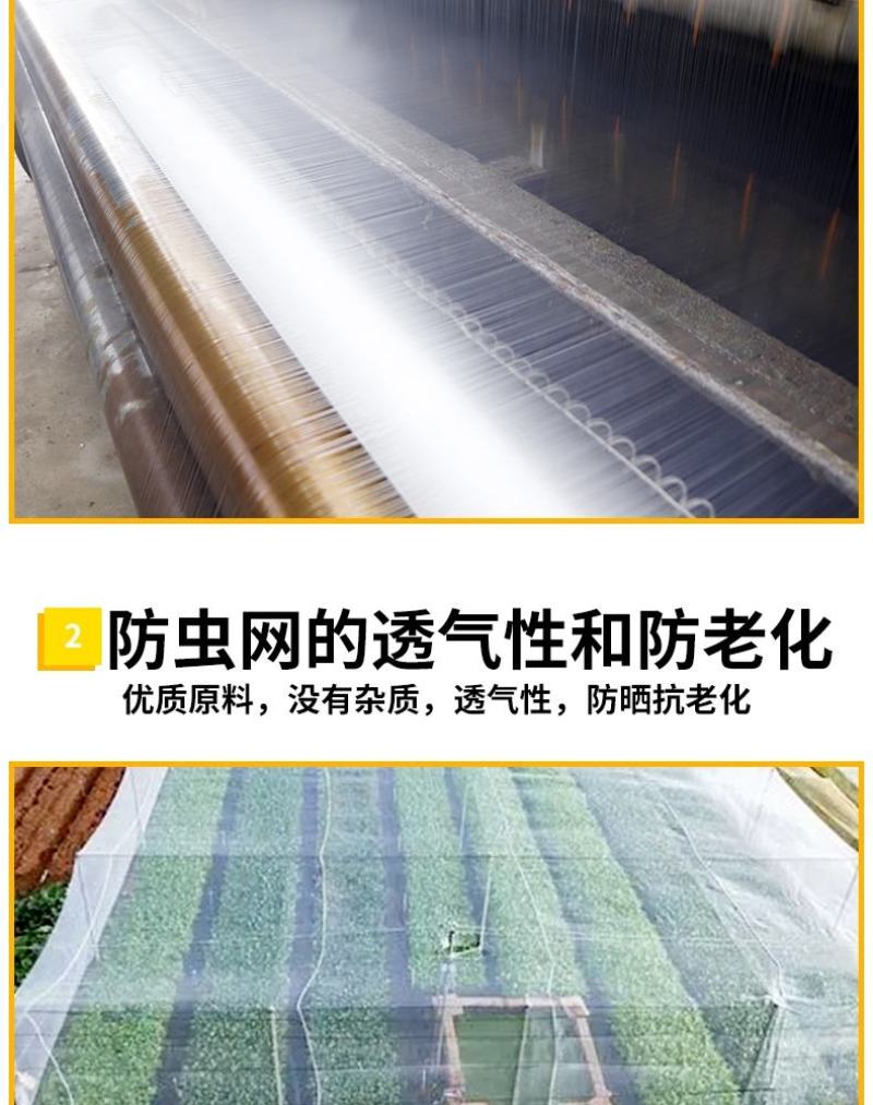 大棚防虫网纱网菜地大棚网养殖场猪场防蚊苍蝇果树防鸟加密加
