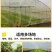 大棚防虫网纱网菜地大棚网养殖场猪场防蚊苍蝇果树防鸟加密加