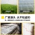 大棚防虫网纱网菜地大棚网养殖场猪场防蚊苍蝇果树防鸟加密加