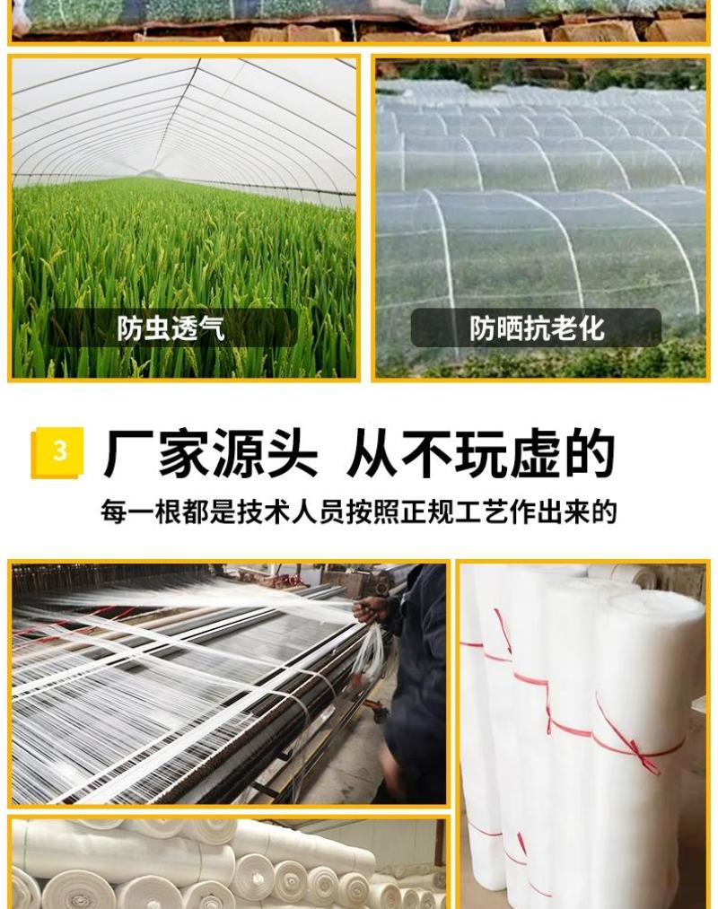 大棚防虫网纱网菜地大棚网养殖场猪场防蚊苍蝇果树防鸟加密加