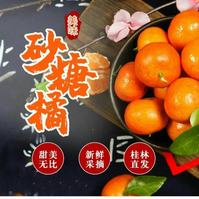 砂糖橘广西桂林沙糖桔正宗新鲜味甜多汁当季桔子皮薄10斤整