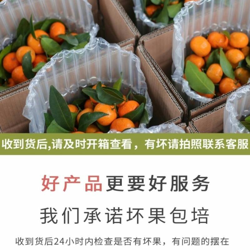 砂糖橘广西桂林沙糖桔正宗新鲜味甜多汁当季桔子皮薄10斤整