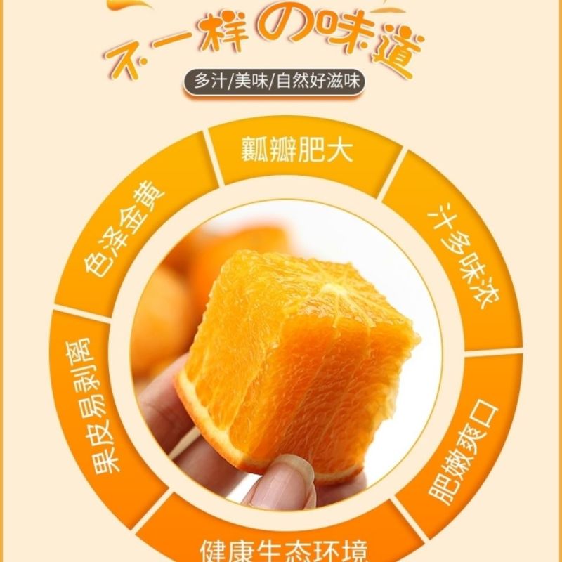 砂糖橘广西桂林沙糖桔正宗新鲜味甜多汁当季桔子皮薄10斤整