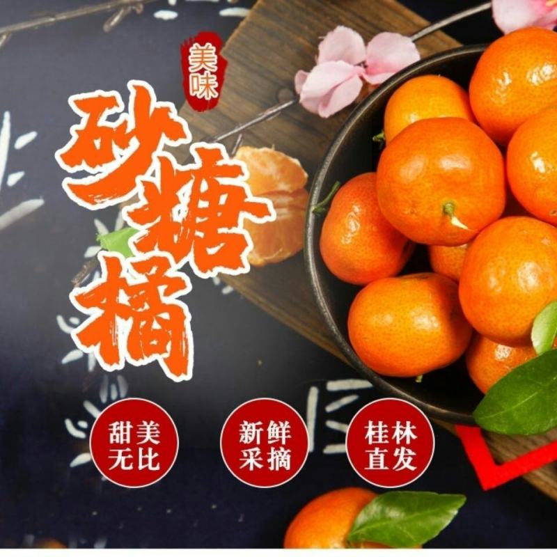 砂糖橘广西桂林沙糖桔正宗新鲜味甜多汁当季桔子皮薄10斤整