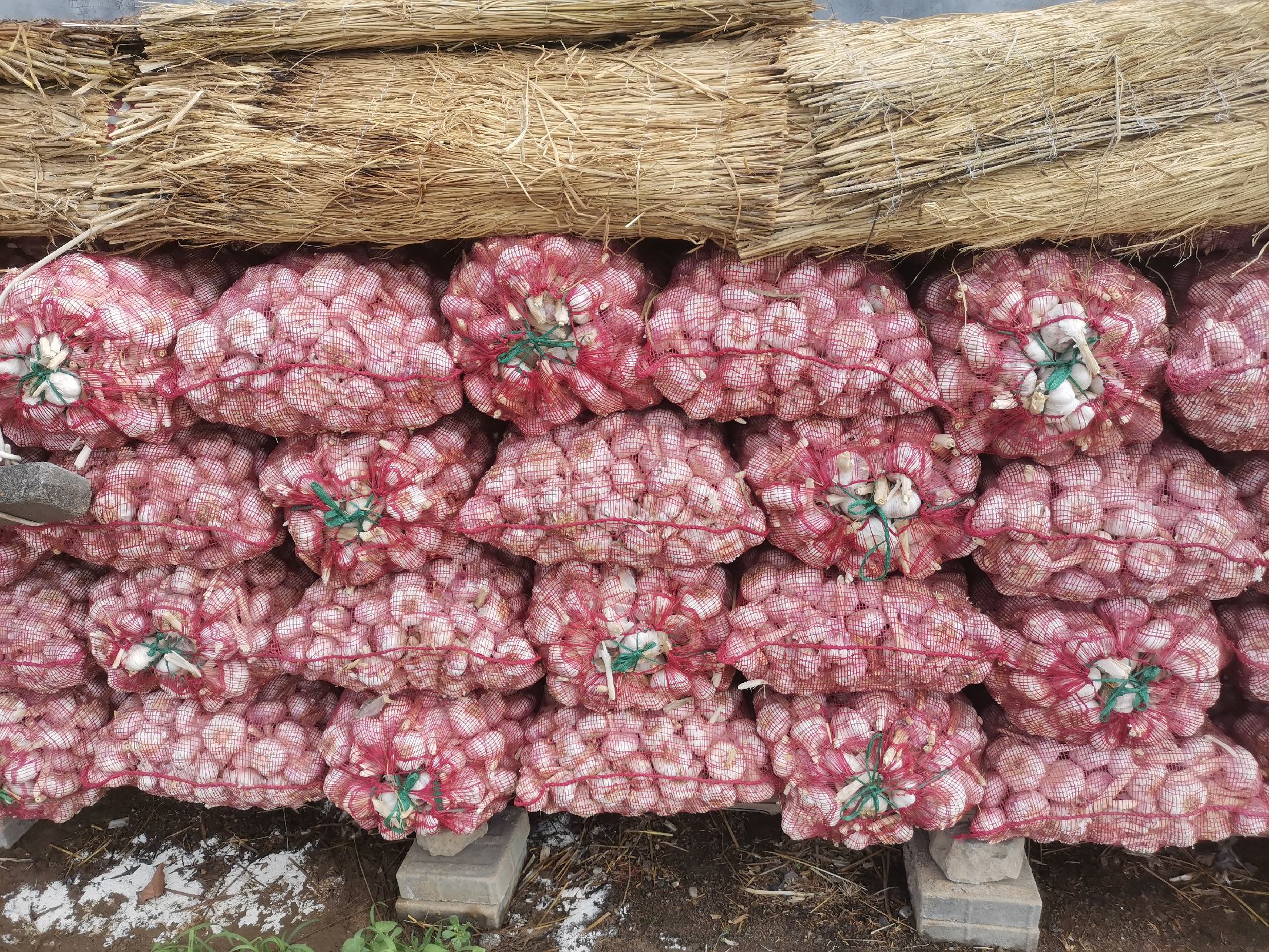 小红蒜包装与保存方法展示