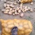 通许县希森六号土豆中薯5号土豆沃土土豆，V7土豆