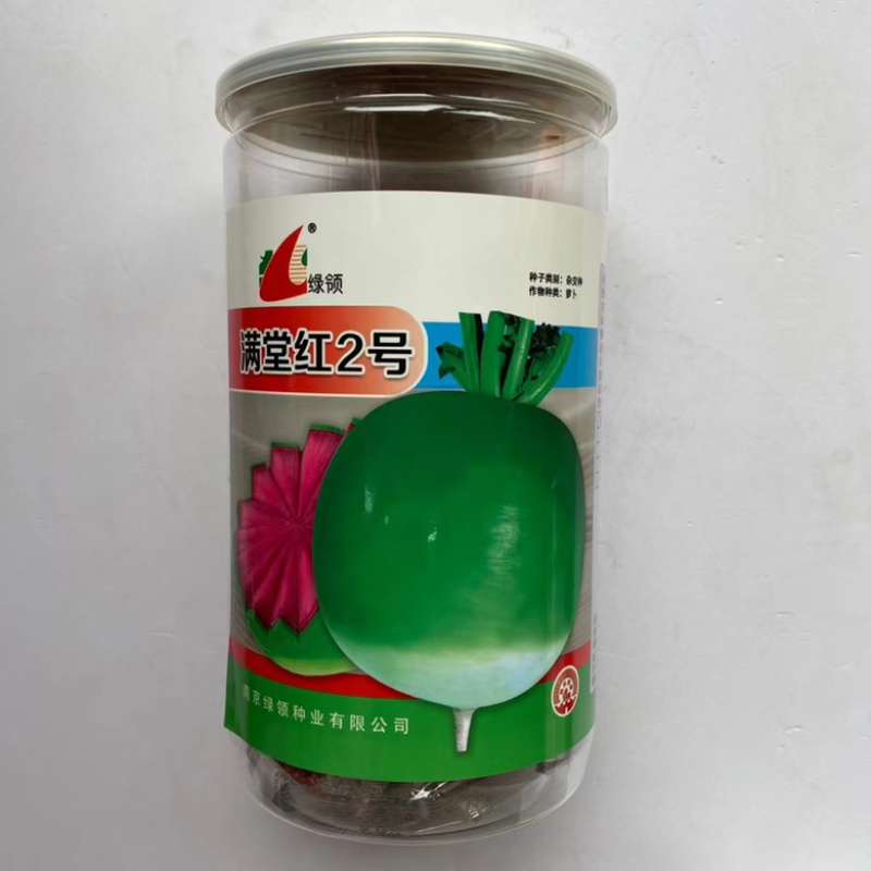 绿领种叶红宝40萝卜种子红皮白肉早熟耐热红萝卜品种种子