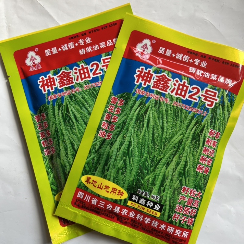 神鑫油2号油菜种子杂交品种矮杆油菜种种子