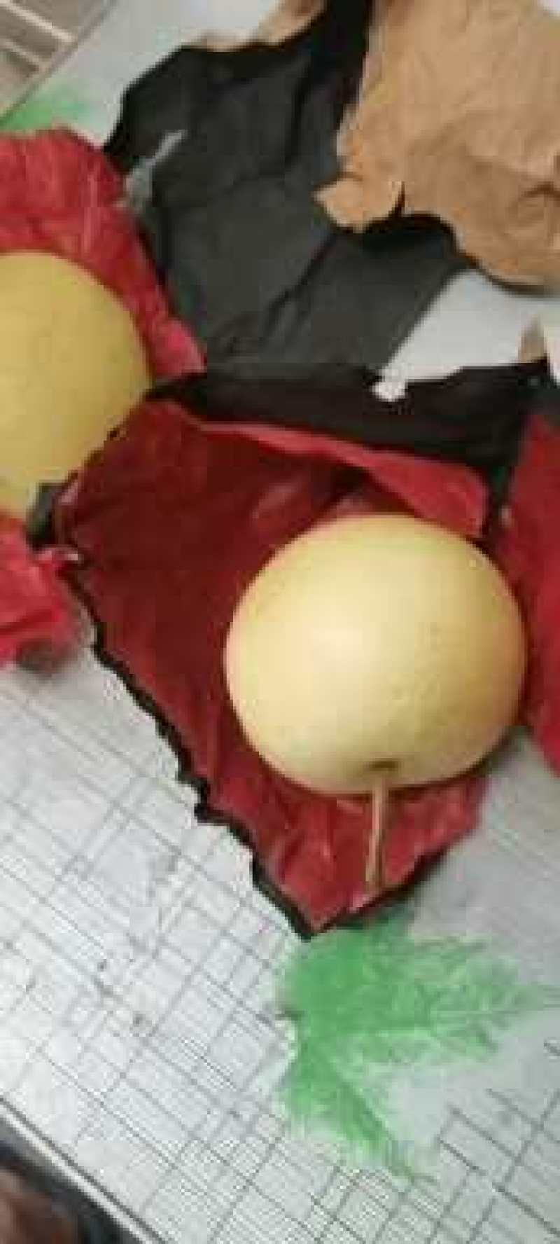 陕西蒲城皇冠梨