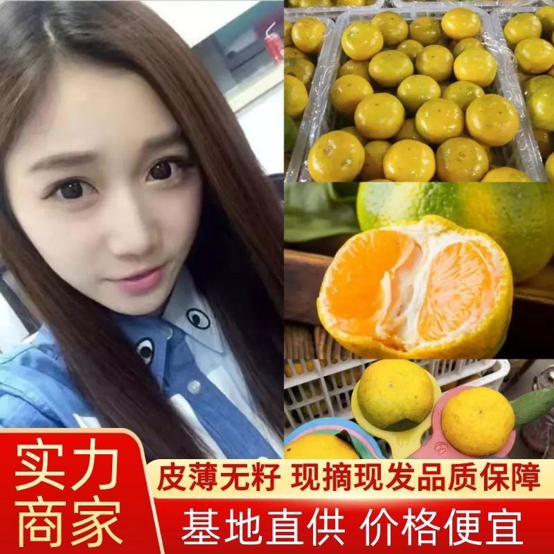 湖北蜜橘桔子电商小果无籽快递一件代发