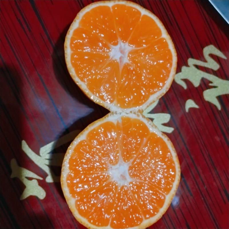 湖北蜜橘桔子电商小果无籽快递一件代发