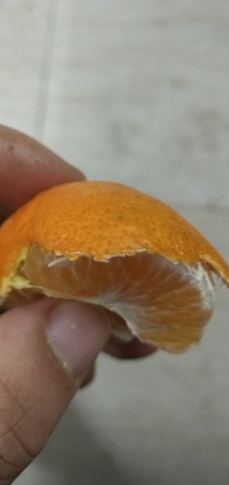湖北蜜橘桔子电商小果无籽快递一件代发