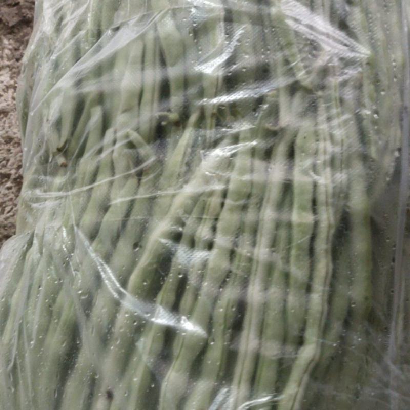 精品白芸豆