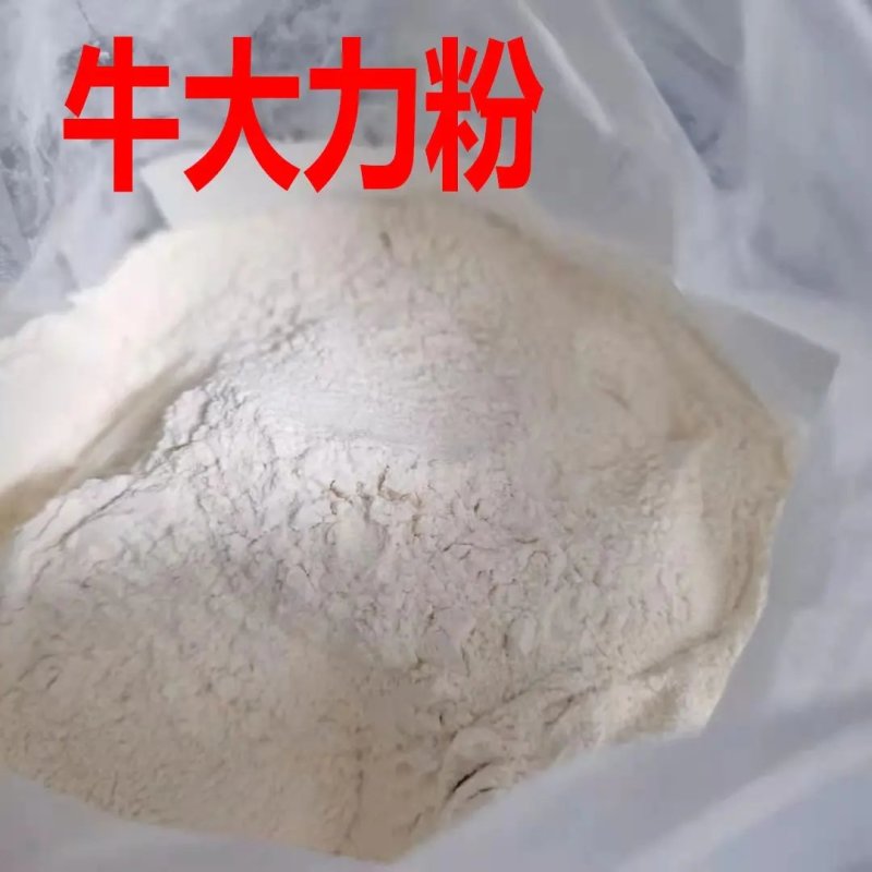 货源充足牛大力批发量大从优欢迎联系诚信经营