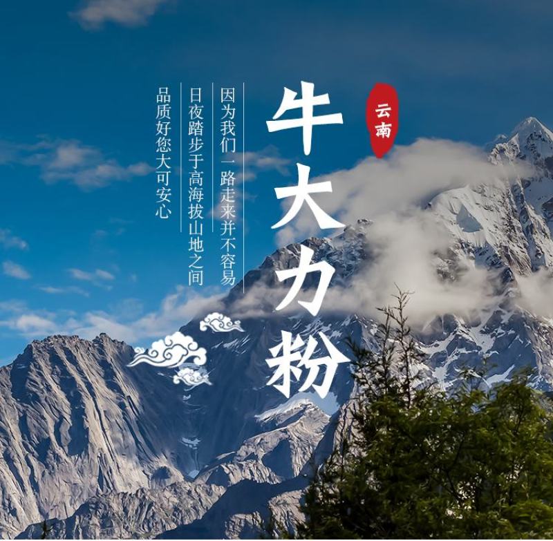 货源充足牛大力批发量大从优欢迎联系诚信经营
