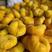 毛潘油潘大量上市要货的老板可以联系，果面金黄，口感脆甜
