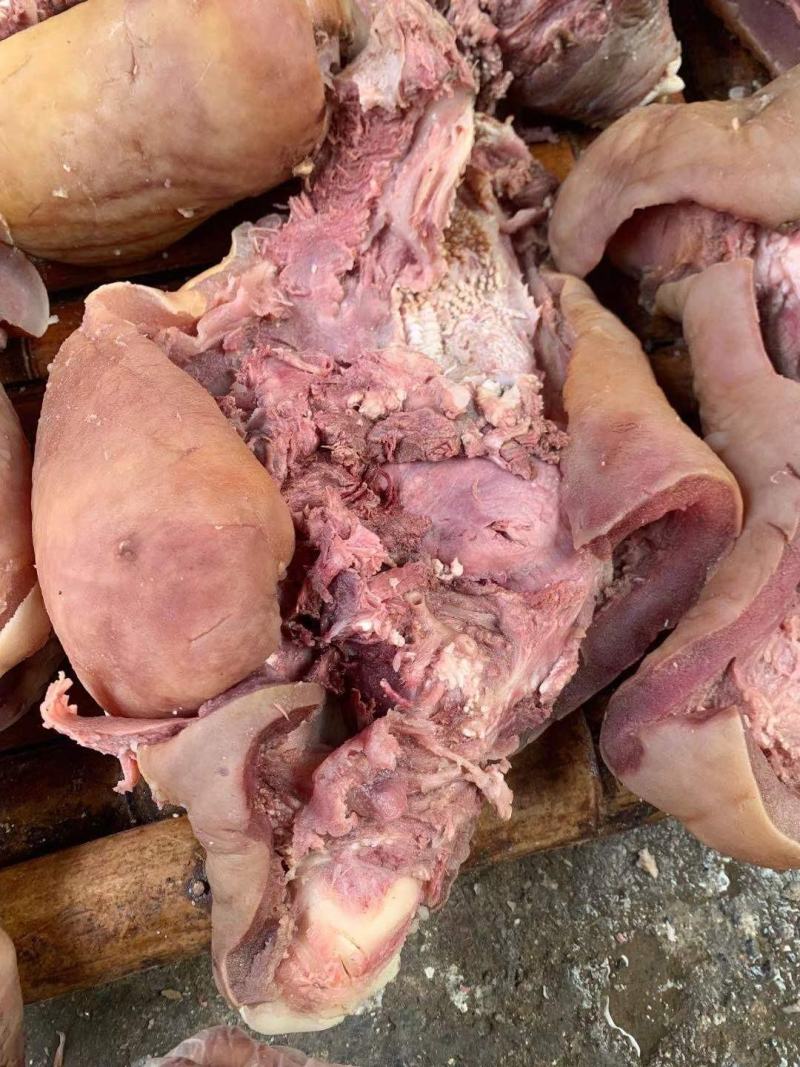 牛头肉熟食简单调味带皮，焦作博爱产地直发，常年有货