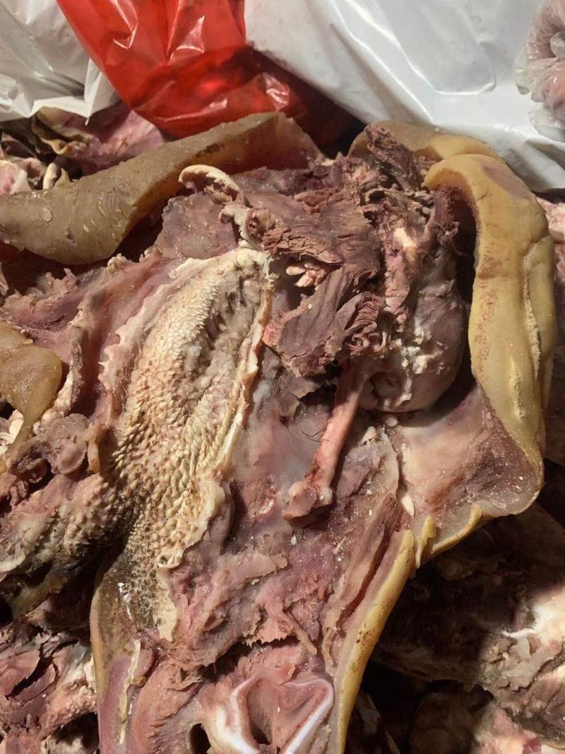 牛头肉熟食简单调味带皮，焦作博爱产地直发，常年有货
