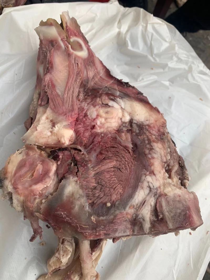 去皮牛头肉熟食焦作博爱，去油去淋巴货源稳定电联