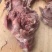 去皮牛头肉熟食焦作博爱，去油去淋巴货源稳定电联