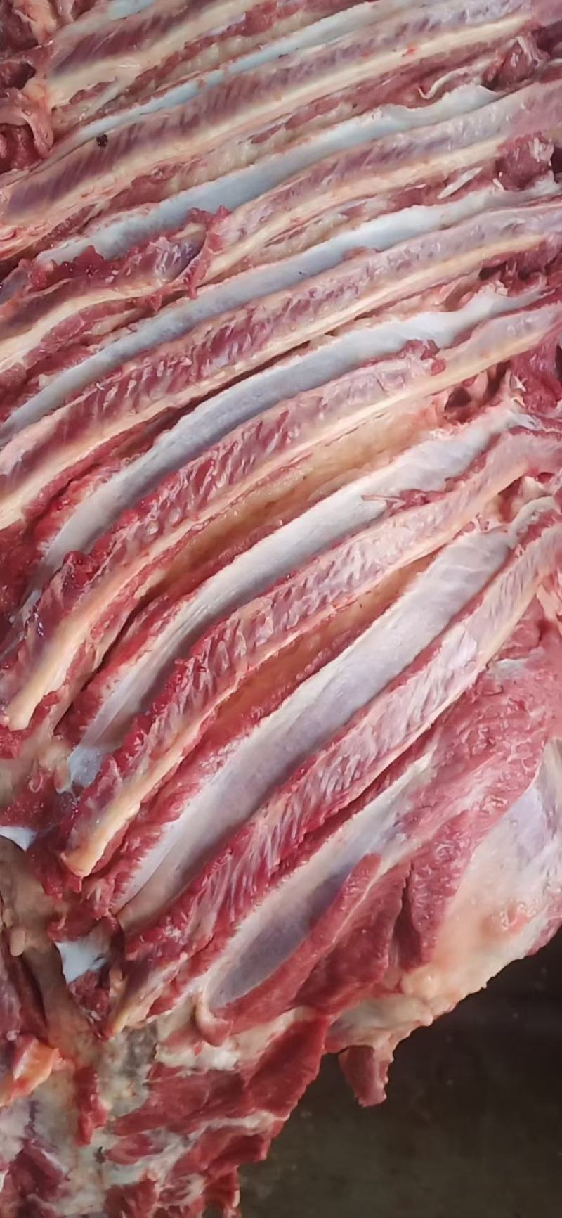 鲜驴肉带皮驴肉，货源充足支持全国各地发货