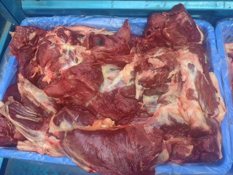 鲜驴肉带皮驴肉，货源充足支持全国各地发货