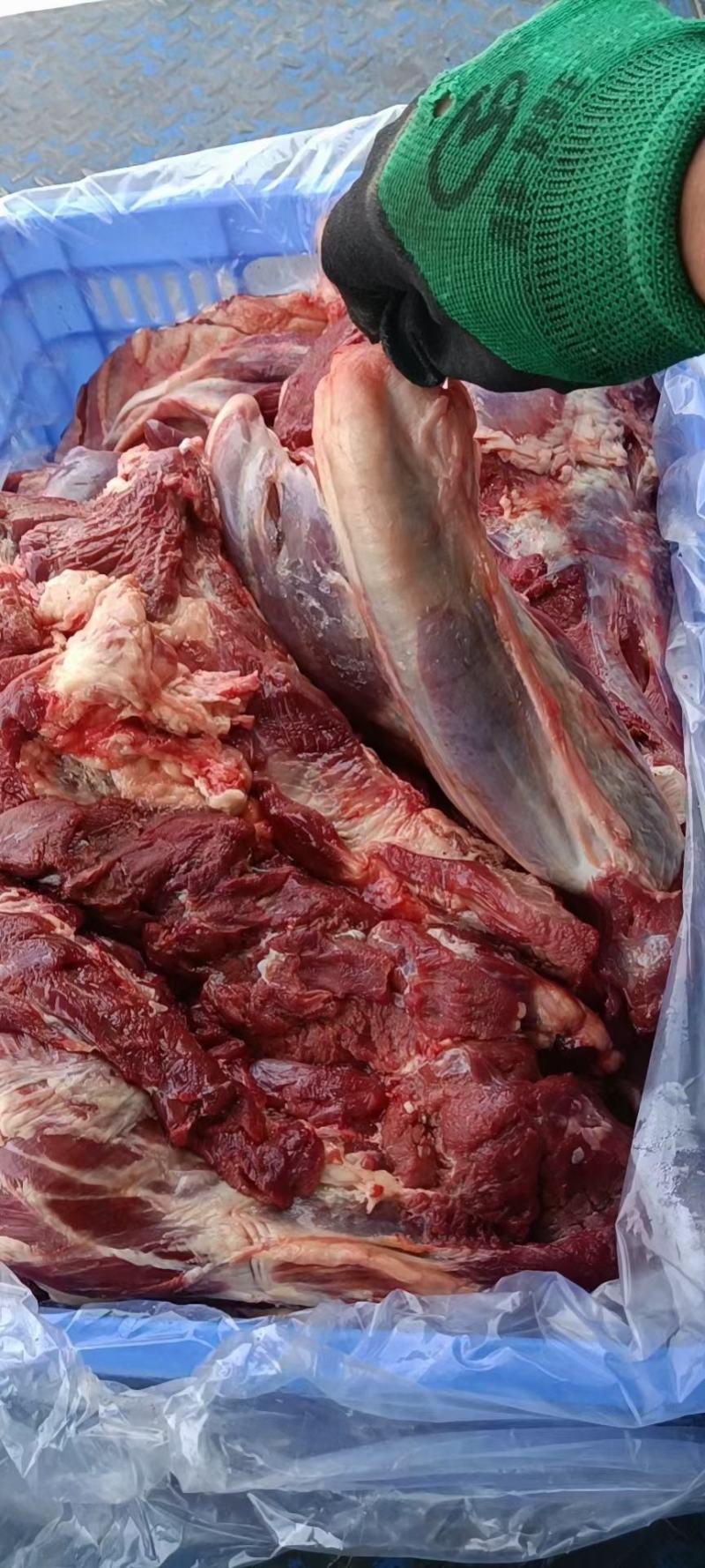 鲜驴肉带皮驴肉，货源充足支持全国各地发货