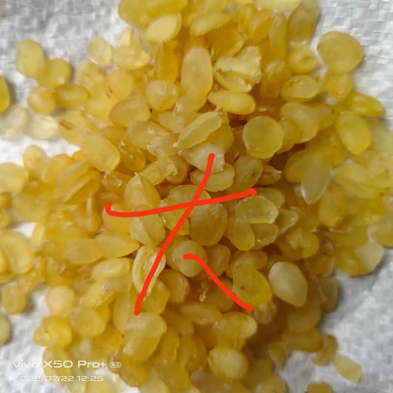 皂角米小籽，无硫大双荚，靓货大量有货，质高价优，欢迎订购