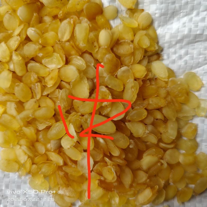 皂角米小籽，无硫大双荚，靓货大量有货，质高价优，欢迎订购