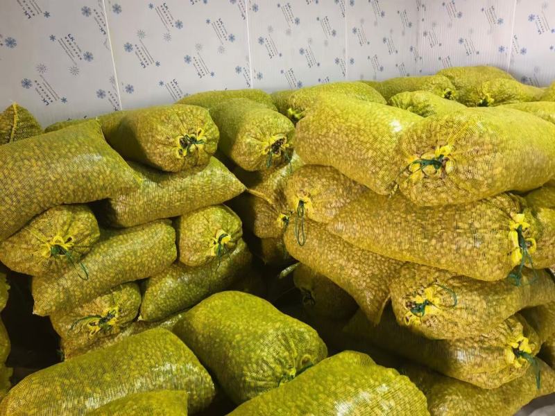【热销】湖北精品新鲜花生大量上市现拔现筛质量保证