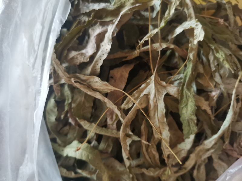 金鸡脚，鸡脚草，鸭婆脚，七星丹，纯野生，有带头和不带头