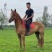 骑乘马价格优惠！纯血马价格！汗血马！旅游马特价包邮！
