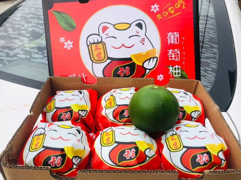 支持一件代发和团购，红心蜜柚漳州市馆溪三红柚黄金柚