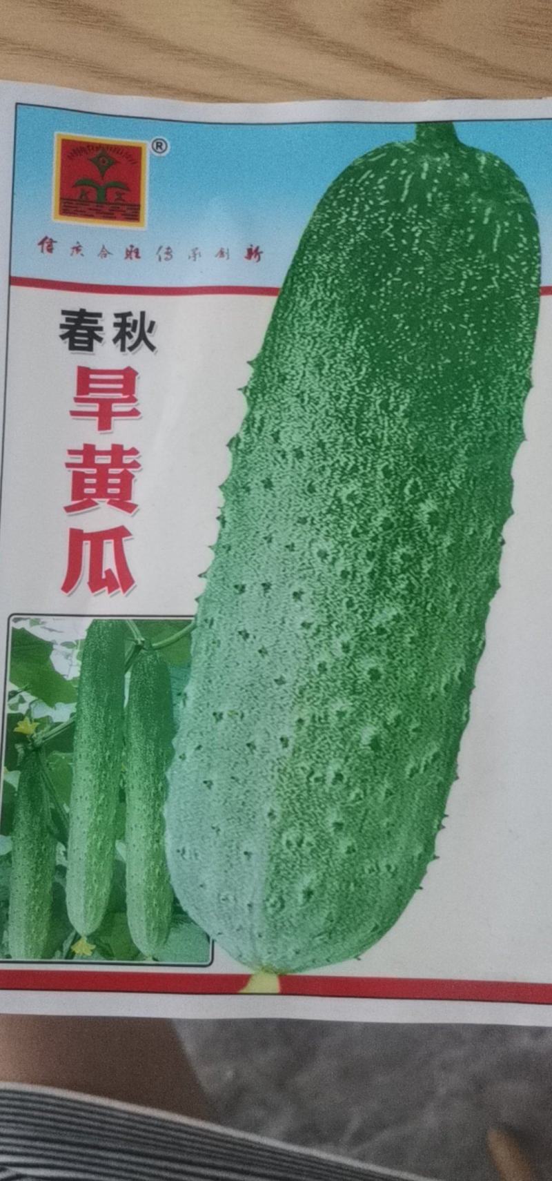 【货源充足】春秋旱黄瓜种子早中晚熟肉脆质嫩耐热旱黄瓜种子