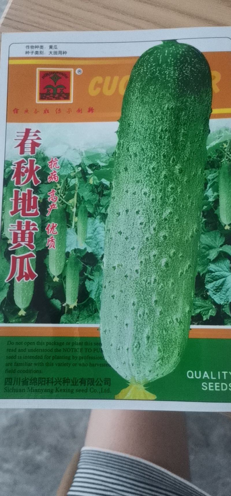 【货源充足】春秋旱黄瓜种子早中晚熟肉脆质嫩耐热旱黄瓜种子