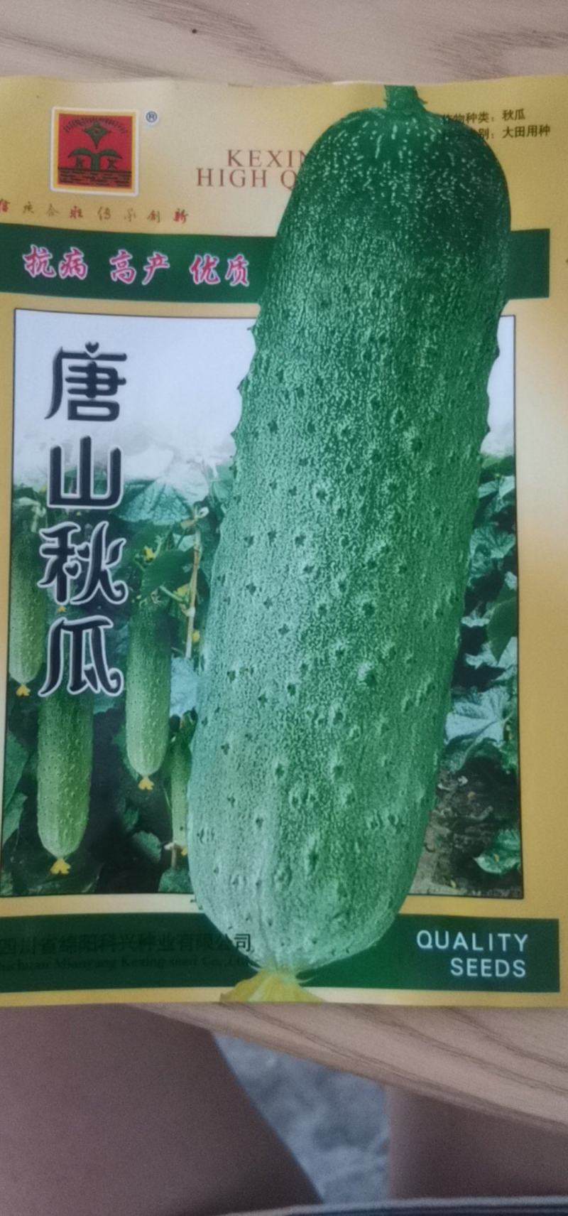 【货源充足】唐山秋瓜旱黄瓜种子品质佳味浓黄瓜种子