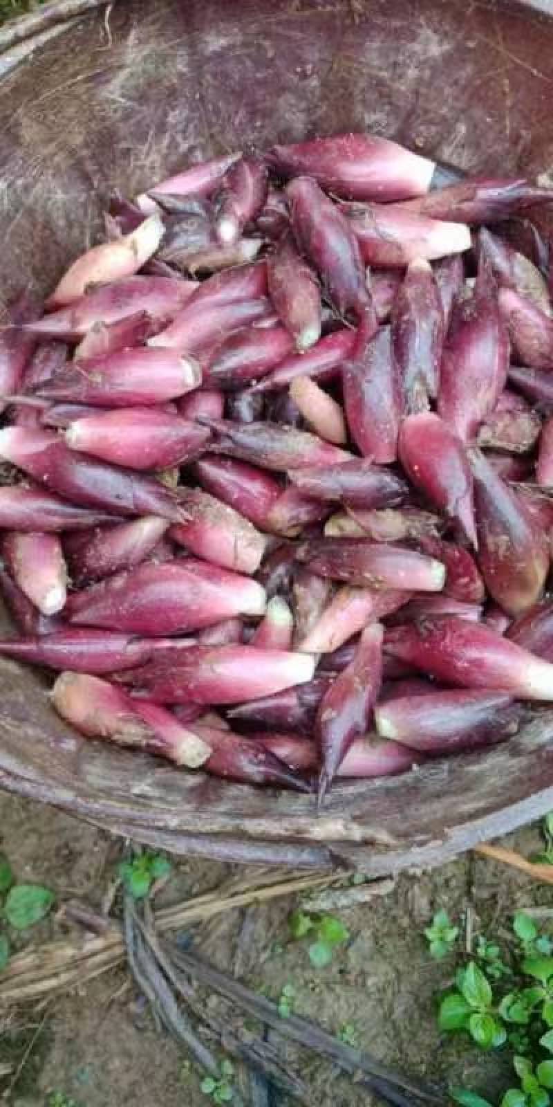高山纯正野菜洋菏