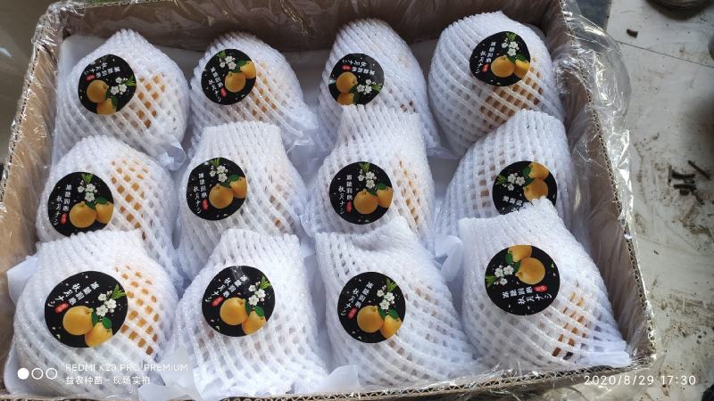 秋月梨，电商，平台超市精品礼盒包装，7斤装，5斤装
