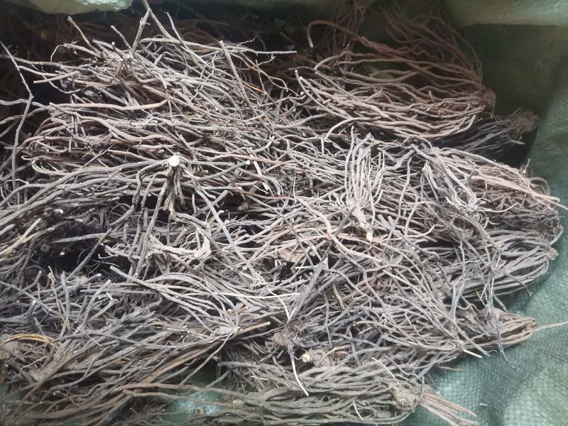 威灵仙，灵仙根，小木通，四川产纯野生水洗货。
