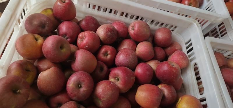 丑苹果60-65电商货多多买菜盒马美团