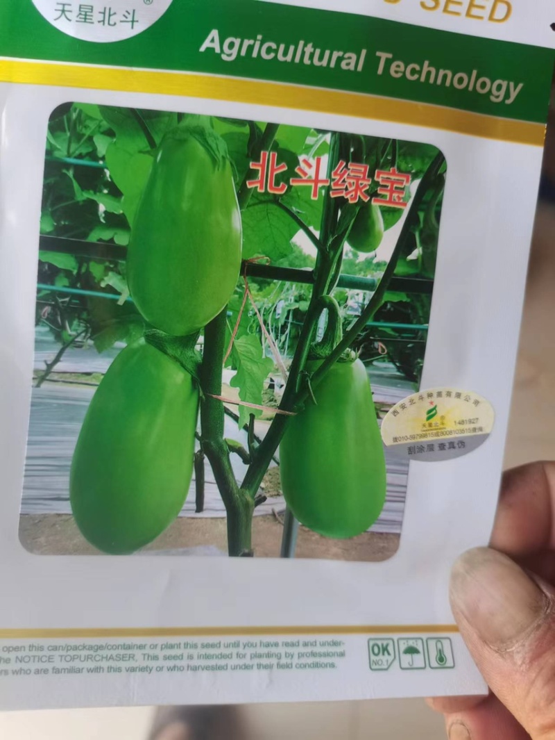比亚久7159茄子种子1000粒/袋肉质细腻商品亮丽品质