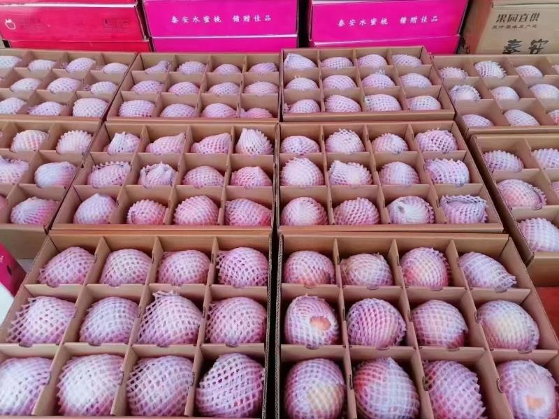 中国蜜桃选甘肃，甘肃蜜桃选秦安“北京七号”
